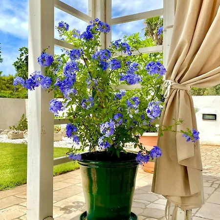 Bed & Breakfast Nonna Maria